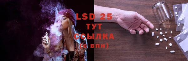 ECSTASY Алзамай