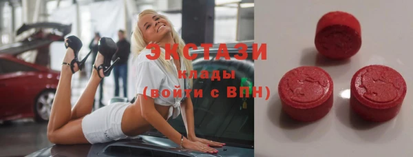 ECSTASY Алзамай