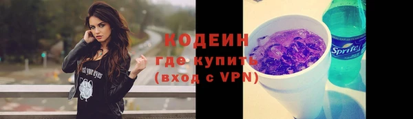 ECSTASY Алзамай