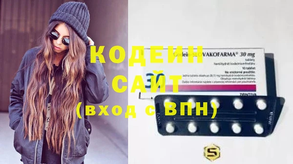 ECSTASY Алзамай