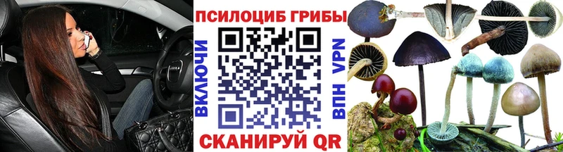 Псилоцибиновые грибы ЛСД Находка